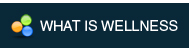 What is Wellness